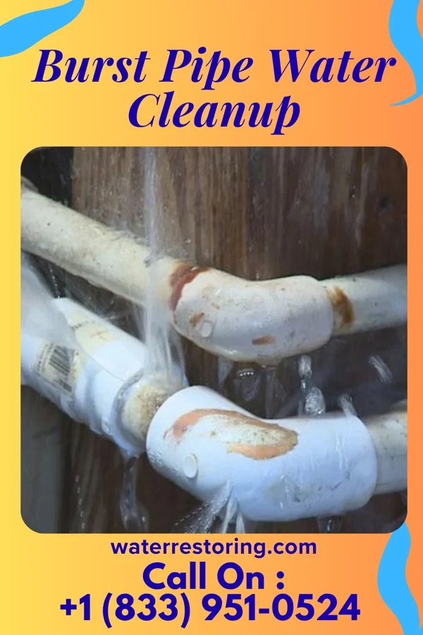 Burst Pipe Water Cleanup in Velda City, MO