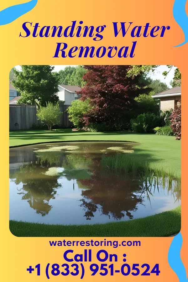 Standing Water Removal in Velda City, MO